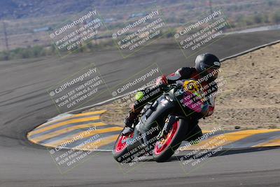 media/Nov-05-2022-SoCal Trackdays (Sat) [[f8d9b725ab]]/Turns 9 and 8 (1050am/